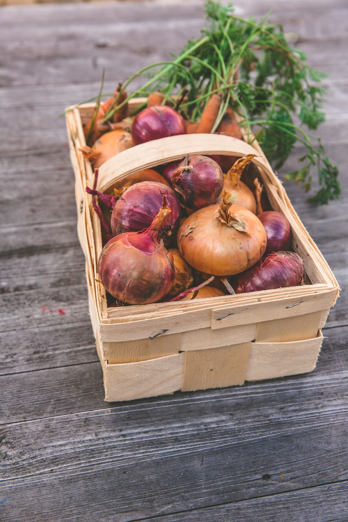 Verduras frescas para la semana