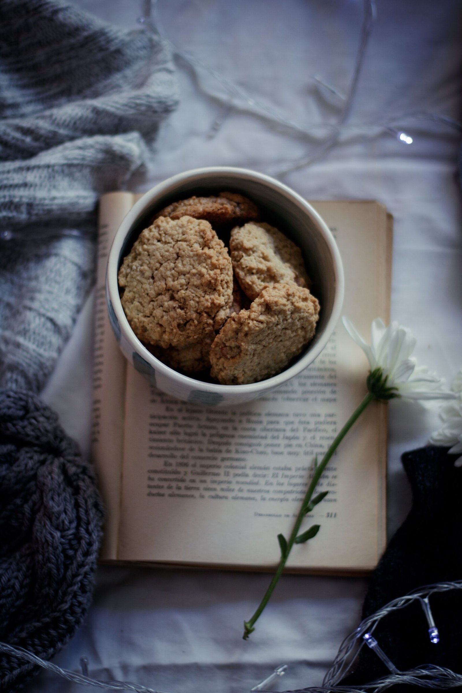 Galletitas de avena y coco