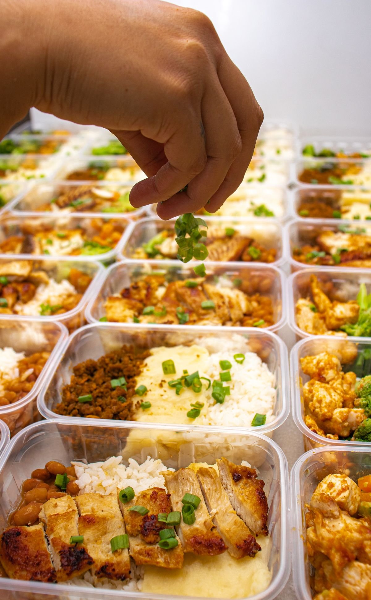 Vianda saludable lista para la semana