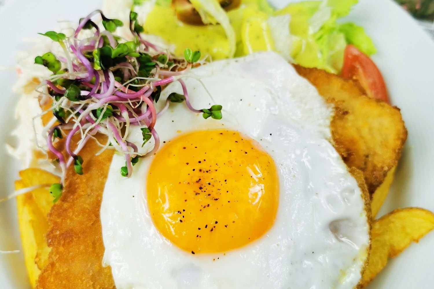 Milanesas de carne con ensalada de tomate y huevo