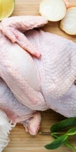 pollo