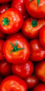 tomate